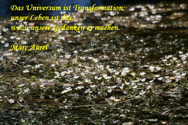 Kraft der Gedanken _Online-Coaching zum Wohlfühlen